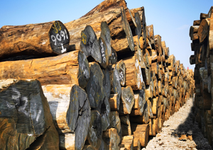 出售储存过程中要养护建筑木方的方法